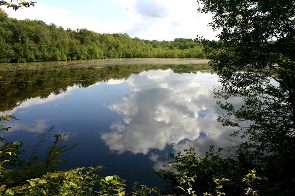 etang-neuf-1