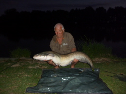 24lb cat