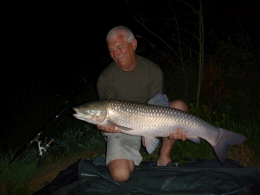 24lb grass carp 001