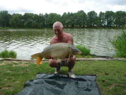 27lb common (4)