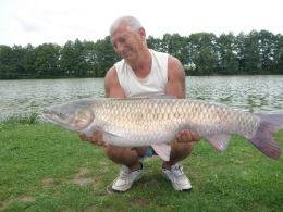 28 lb grass carp 6-8-11 002