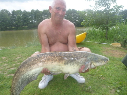 29lb cat (4)