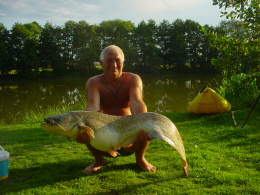 38lb catfish 17-8-11 time 19 45 bait hot ad 002