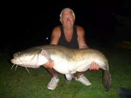 51lb catfish 14-8-11 time 22 30 bait hot ad 011