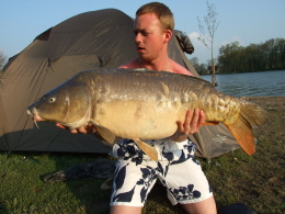 carp 40 pounds
