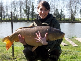 carpe 15,5 kg