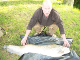 catfish 50lbs