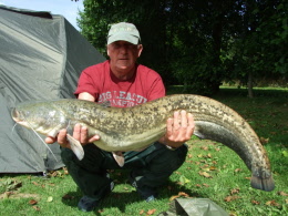 colin silure