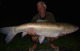 grass carp 35 lb