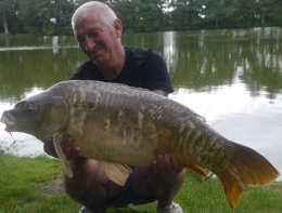 mirror 29lb