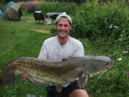 catfish 43 lbs 27/07/2008